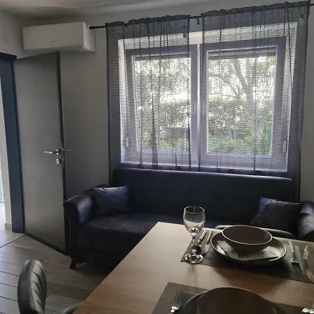 Nika تْسْغيكفانِتْسا